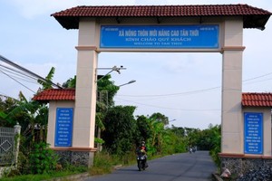 图为芹苴市达高级新农村标准的新泰乡。（图：芹苴报）