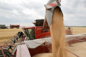 乌克兰的小麦收割。（图：粮农组织）
