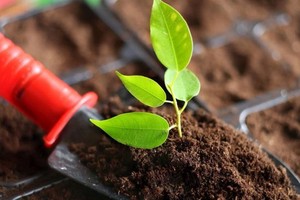 （示意图：互联网）