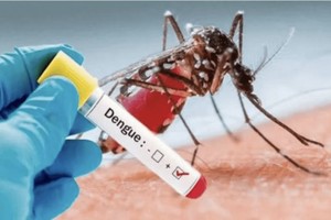 阿根廷登革热疫情创纪录