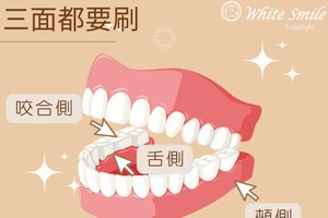 刷牙重点区域千万别放过