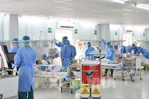 图为第13号野战医院就模拟重症新冠肺炎患者进行救治演练。（图：越通社）