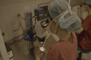 慈裕产育医院已迎来逾16,300 名试管婴儿出生。（图：院方提供）