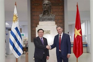 越南国会主席王廷惠会见乌拉圭卡内洛内斯省省长合影。（图：越通社）