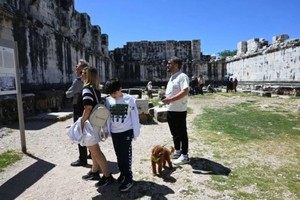 希腊多处古迹将允许宠物进入。（图：互联网）