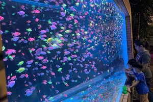 伦哥的“超大”鱼缸获摆放在自家门前。