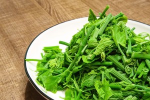 龙须菜５大功效