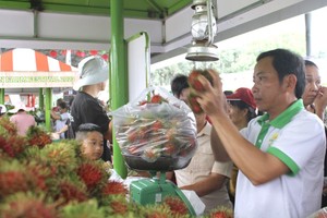 众多游客购买水果