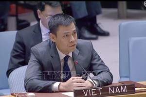 越南常驻联合国代表邓黄江大使。（图：越通社）