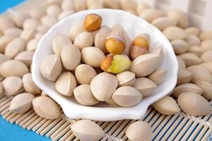 白果能补脑吗？