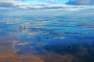 近海风电场。（示意图：互联网）