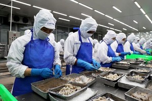 平政县永禄工业区沿海经济发展公司（COFIDEC）的劳工正在工作一瞥。