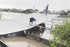 金瓯发生土地坍塌事故