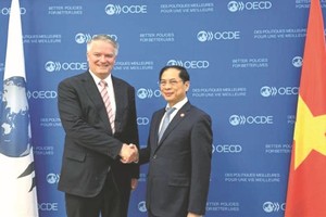 越南外交部长裴青山（右）会见OECD秘书长马蒂亚斯‧科尔曼。（图：越通社）