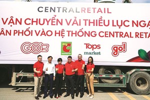 北江省荔枝进军超市经销系统