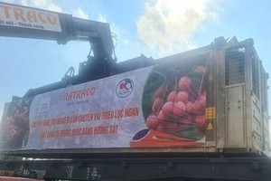 首批陆岸荔枝从国际联运浃火车站启程输往中国。（图：PV）