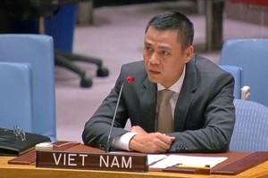 越南常驻联合国代表团团长邓黄江大使出席会议并发表讲话。（图：越通社）