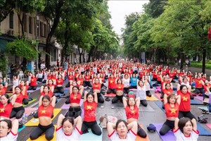 2023年第九届国际瑜伽日