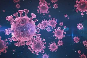 （示意图：互联网）