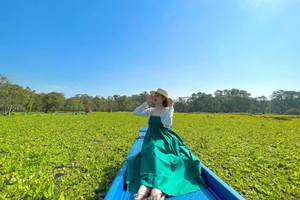 密密麻麻如绿丝绸的浮萍