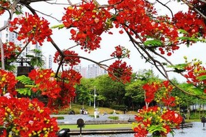 （示意图：互联网）