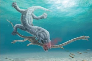 长颈龙水螅棘龙被潜在的捕食者巨型诺特龙“斩首”场景的艺术绘图。