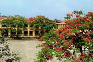 （示意图：互联网）