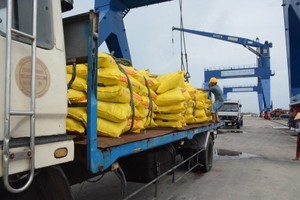 在港口货物装卸活动。