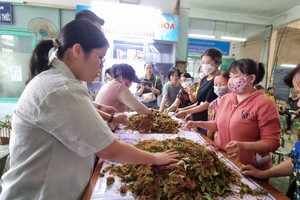 用废弃蔬菜堆肥制作有机肥料