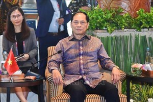 越南外交部部长裴青山在会议上发表讲话。（图：越通社）