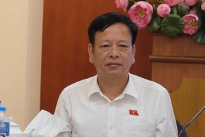 国会法律委员会副主任阮长江在会上发表讲话。