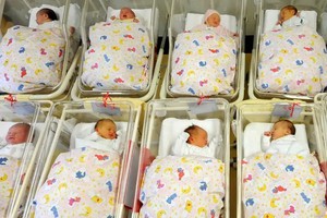 （示意图：DPA）