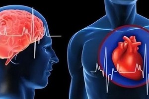 （示意图：互联网）