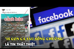 12 条鳄鱼逃离资讯纯属失实。（图：TNO）