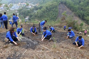 《越通社》工会青年会员参加植树造林活动。（图：越通社）