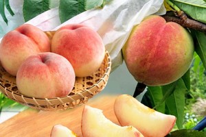 吃水蜜桃有助脱皮防过敏