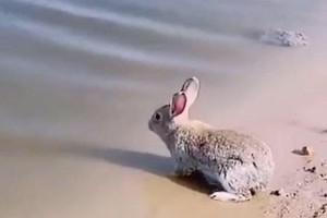 （示意图：互联网）