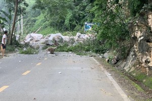 加紧克服安江省巴栖山体滑坡后果