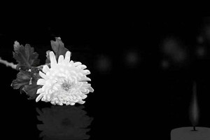 悼念华文文学会副会长刘为安