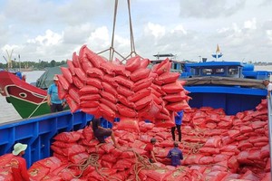 出口大米装卸。