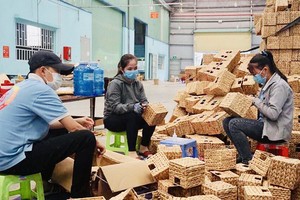 劳动与荣军社会部建议加入若干规定以增加企业领域的社保费缴纳额。