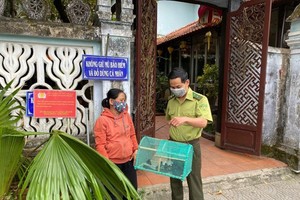 一名出售放生鸟只者被职能力量发现、处理。