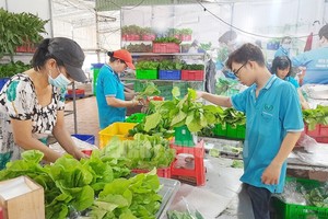 本市一家农业合作社对农产品进行初加工。（图：市党部新闻网）