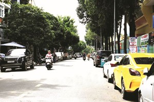 汽车停泊在富润郡第二坊凤凰花街。（图：越通社）