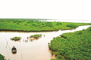 春水国家公园。（图：黄明）