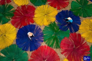 推祟越南浓郁价值