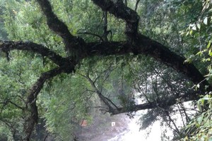 年底亚太区各旅费相宜胜地