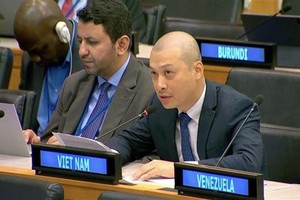越南常驻联合国代表团副团长阮黄原参赞在一般性讨论会上发表讲话。（图：越通社）