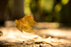 （示意图：互联网）