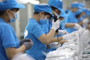 欧盟企业在越南投资加工与制造工业。